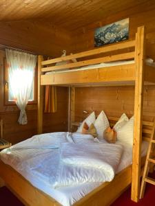 a bedroom with a bunk bed in a log cabin at Schlossnerhof in Virgen