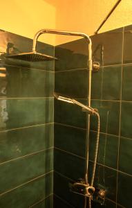 a shower in a bathroom with green tiles at Casera Marisa Nevegal in Nevegal
