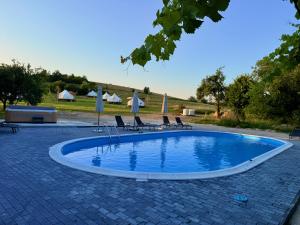 a swimming pool with lounge chairs and umbrellas at Glamping Stolat in Stolat