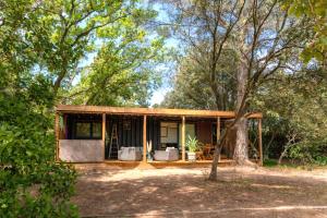 a house in the woods with a tree at Ô Temps Des Pins in Éguilles