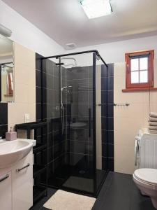 a bathroom with a shower with a sink and a toilet at Za Bocianami- domki w Bartoszymlesie in Stara Kiszewa