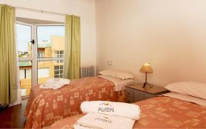 En eller flere senge i et værelse på Complejo Ali Lafken + 32 billeder