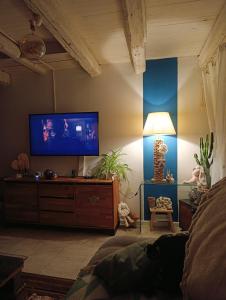a living room with a flat screen tv on a wall at Appartement 90 m2 in Vic-sur-Seille