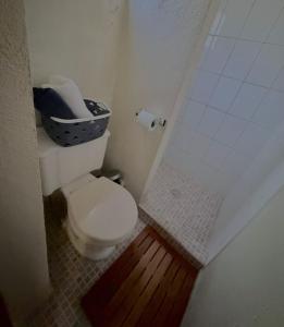 a small bathroom with a toilet and a shower at Hotel Puerta de Jade in Ciudad Valles +3 photos