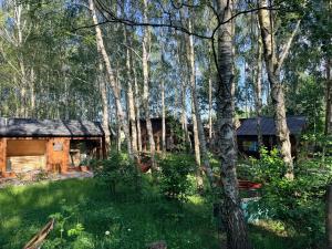 a log cabin in the woods with trees at WieloHome in Wielogóra