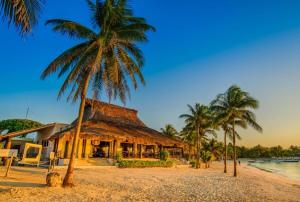 a resort on the beach with palm trees at Akumalito Santamar in Akumal