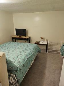a bedroom with a bed and a desk and a television at Plantlife LLC Lodge D in Minneapolis