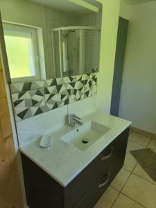 a bathroom with a sink and a mirror at Gites les marronniers in Marigny