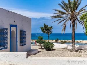 a building on the beach with a palm tree and the ocean at Studio Hergla in Sidi Bou Ali