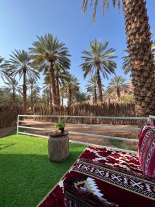a patio with palm trees and a table with a rug at كرفان العلا caravan alula in Al-ʿUla