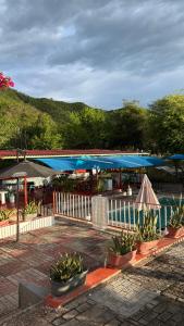 a patio with a pool and umbrellas and plants at La melosa in Girardot