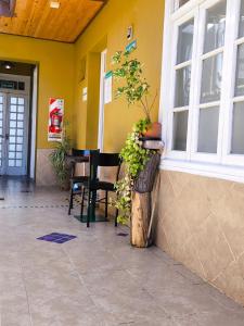 a yellow building with a potted plant next to a window at Parvis Magna Hostal in Guaymallen +2 photos