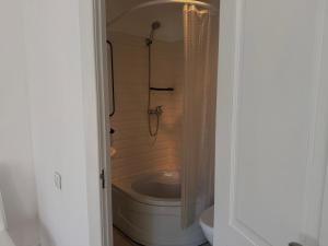 a bathroom with a shower with a toilet and a sink at Belle Art Hotel in Odesa +16 photos