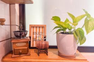 a plant sitting on a table next to a blender at Home Chic in Quepos