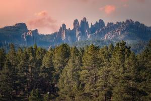 a view of a mountain range with trees and mountains at Hobbit Hole BHBungalows #3 in Custer
