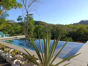 a swimming pool in a garden with a plant at Baliyana Lodge in San José Pinilla