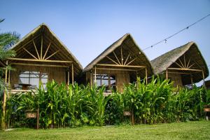 a resort with a bunch of plants in front of it at RECA Resort Philippines Luxury Villas & Nature Retreat in Porac