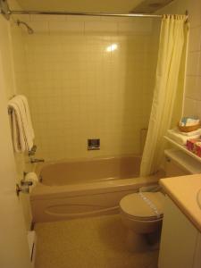 Kylpyhuone majoituspaikassa Best Continental Motel