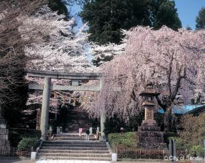 a stone gate and stairs in a park withakura trees at Hotel Premium Green Sovereign in Sendai