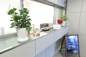 a potted plant sitting on a counter in an office at Oak Hotel Edo in Tokyo