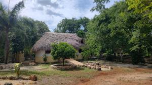 a small hut with a thatched roof and a tree at Eco Hacienda ICH-KI in Hoctún