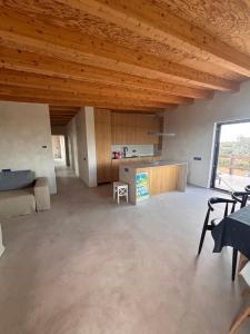 a large living room with a wooden ceiling at Casa Zaan in Sulina +22 photos