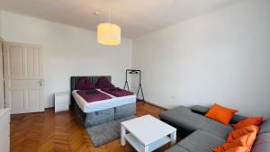a living room with a couch and a table at Junior Suite Apartment Eleven in Graz