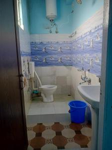 a bathroom with a toilet and a sink at Vibgyor Hotel in Cherrapunji