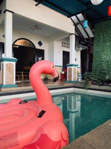 a pink swan float in a swimming pool at HHHH Hostel in Banyuwangi