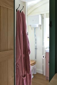 a bathroom with a pink towel hanging on a door at Hornbeam Holt in Broadway +14 photos