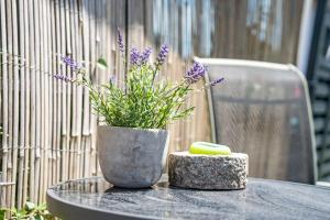 a table with a vase with a plant on it at Fewo Stembers in Heideck