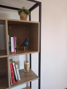 a book shelf with a blue bird sitting on it at Casa 56 in Sardoal