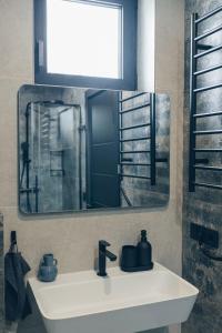 a bathroom with a sink and a mirror at Brīvdienu māja Daugavas rezidence in Ķegums