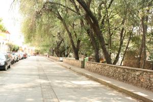 a tree lined street with cars parked next to a stone wall at Arquitectos Departamento 11-5 in Guanajuato