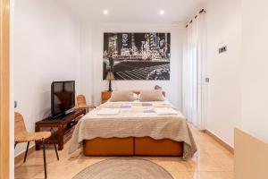 a bedroom with a bed and a flat screen tv at Marenostrum Villa in Valencia +33 photos