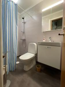 a bathroom with a white toilet and a sink at 5ans rum Gunghästen in Skellefteå