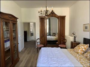 a bedroom with a bed and a large mirror at Grand corps de ferme à la rue Messire Etienne 89113 Neuilly Valravillon in Neuilly