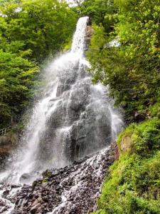 a waterfall on the side of a hill with trees at Ferienwohnung Bodenstein in Bad Liebenstein