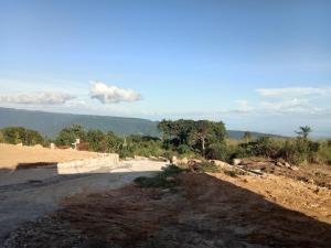 a dirt road in the middle of a field at Perfect View Homestay in Cherrapunji