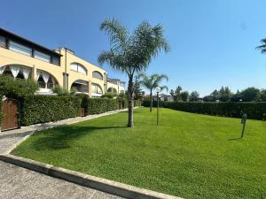 a palm tree in the grass next to a building at La CASA DI LUDO in Bernalda