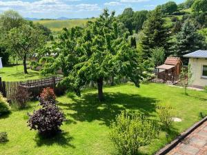 a green yard with a tree and a house at Ferienwohnung Altensteinblick in Bad Liebenstein +42 photos