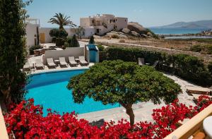 a view of a swimming pool with red flowers at Proteas Hotel & Suites in Agios Prokopios