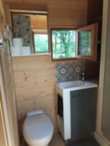 a small bathroom with a toilet and a sink at La roulotte de Jane in Margon +36 photos