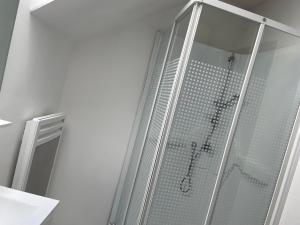 a shower with a glass door in a bathroom at chez Alain et Sylvie in Braine +26 photos