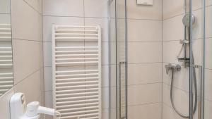a bathroom with a shower with a toilet and a shower at Stein 35 with Kitzstainhorn view in Kaprun