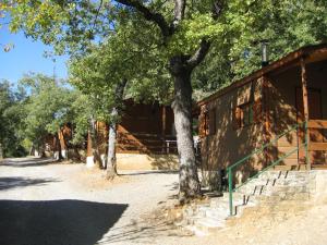 a building with trees and stairs next to it at HolaCamp Aínsa in Aínsa +5 photos