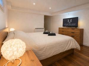 a bedroom with a large bed with a television on the wall at Piscine et pétanque - Calme proche Belfort in Châlonvillars +10 photos