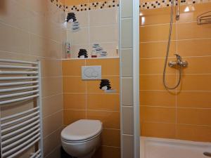 a bathroom with a toilet and a shower at Apartments 17 - 23 AD Kamzík in Donovaly +43 photos