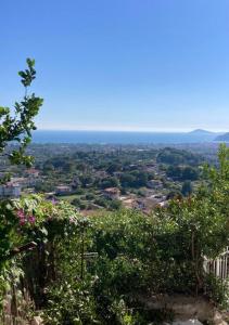 a view of a city from a hill with trees at Prima Stella Tourist Rooms in Minturno