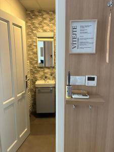 a bathroom with a sink and a mirror at Rezidence U Kamenného mostu in Písek